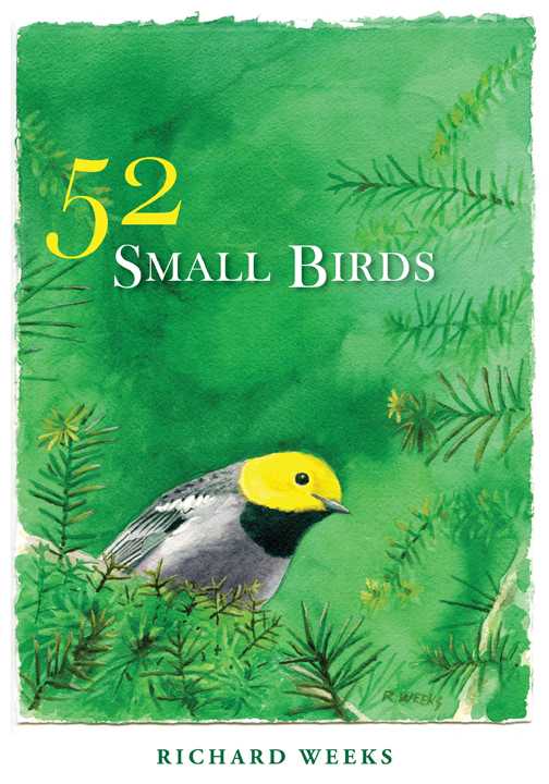 Cover of the book 52 Birds by Richard Weeks
